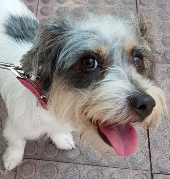 una loquita adorable una loquita adorable